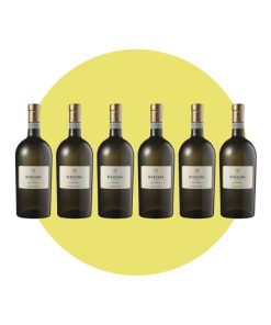 Pasini San Giovanni, Il Lugana Sopravento 2024, 750 ml – Box 6 Bottiglie