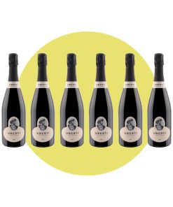 Alternative view of Uberti, Franciacorta Francesco I Brut, 750 ml – Box 6 Bottiglie