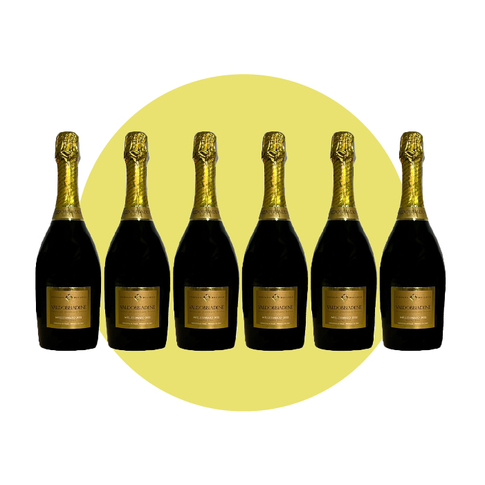 Bottega, Valdobbiadene Prosecco Superiore Stefano Bottega Extra dry 2024, 750 ml – Box 6 Bottiglie - immagine 2