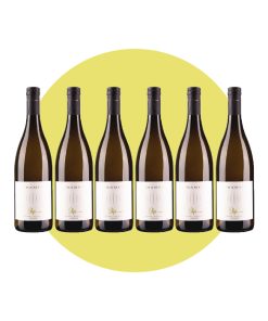 Cantina Tramin, Sauvignon Pepi 2024, 750 ml – Box 6 Bottiglie